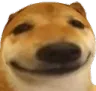 dogehigh