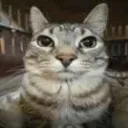 guh