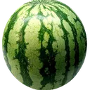 Melon