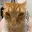 cat_vibe
