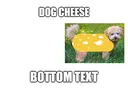 dogcheese