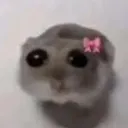 Sadhamster