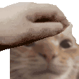 emoji_134