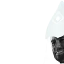 forestchad1