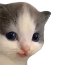hehe hehe