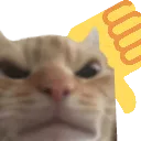 cat_thumbs_down