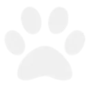 0_paw