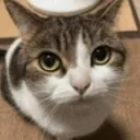 mhm mhm