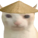 Jela_Cat