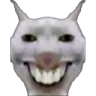 XX