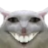 DD