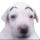 huh