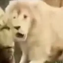 ohno