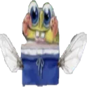 spongbee