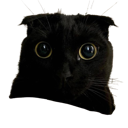 idontunderstand Discord emoji