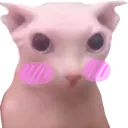 strayBingusBlush strayBingusBlush