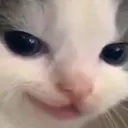 strayEvilHehe