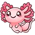 x_axolotl