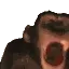MONKE MONKE