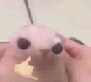 someonetellmewhatthisis someonetellmewhatthisis