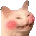Catblush