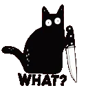 what_cat_knife