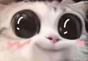 bigeyes