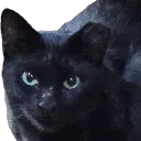 beepy