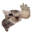 BetterCatowave