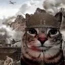war