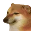 doge