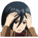 Mikasaworried