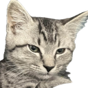 Lux Discord emoji