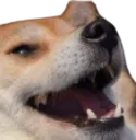 hehe