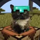 emoji_2 emoji_2