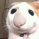 a_