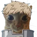 2_cat_laios_stare_DNS 2_cat_laios_stare_DNS