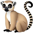 lemur_vash lemur_vash
