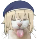 2_cat_falin_silly_DNS 2_cat_falin_silly_DNS