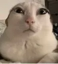 peetah