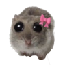sad_hamster_bow Discord emoji