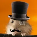 sirhamster