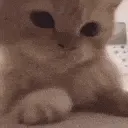 imweepy