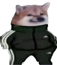 Adidas_Doge