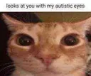 looks_at_you_with_my_autistic_ey