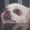 am