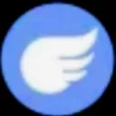 FlyingType