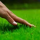 TOUCH_GRASS