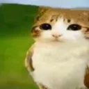 hmmm