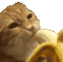CatBanana Discord emoji